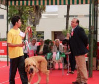 /album/fotogaleria-tigre/tigre-01-jpg/