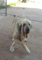 /album/fotogaleria-calaf/calaf-w8-jpg/