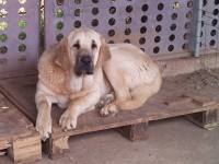 /album/fotogaleria-enma/enma-w2-2-jpg1/