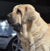 /album/fotogaleria-enma/enma-w2-jpg/