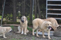 /album/galeria-general/g7-jpg/